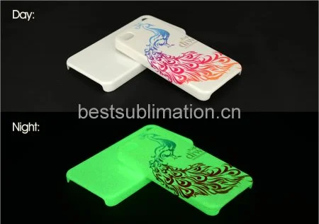 Glazed Oval Camera Holed Luminous 3D iPhone4 Cover