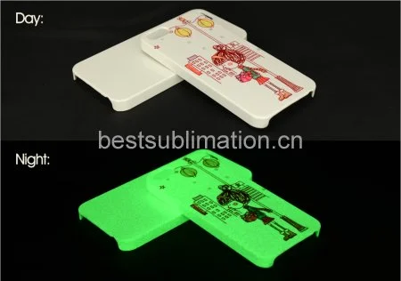 Glazed Luminous 3D iPhone5 Cover