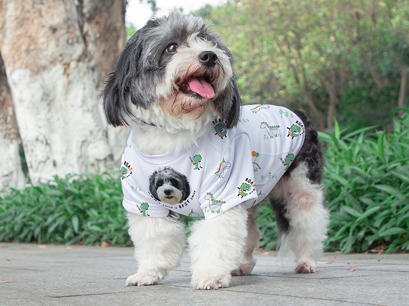 Chewy Pure Summer White Dog Shirt