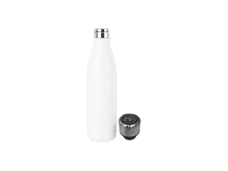 500ml/17oz Minimalist Natural Color Large Capacity Stainless Steel