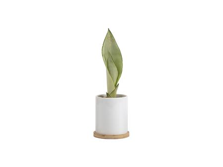 Sublimation 11oz Ceramic Flowerpot w/ Bamboo Base